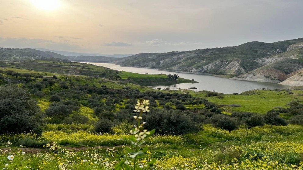 زراعة الأغوار الشمالية تحذر المزارعين من المنخفض المتوقع