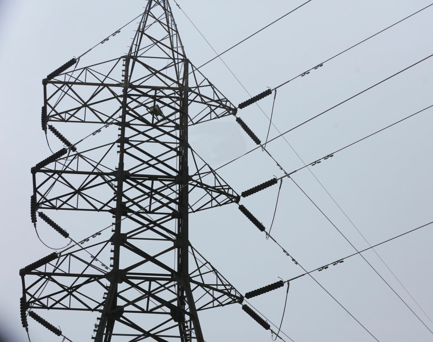 فصل الكهرباء عن مناطق بالأغوار الشمالية غدا