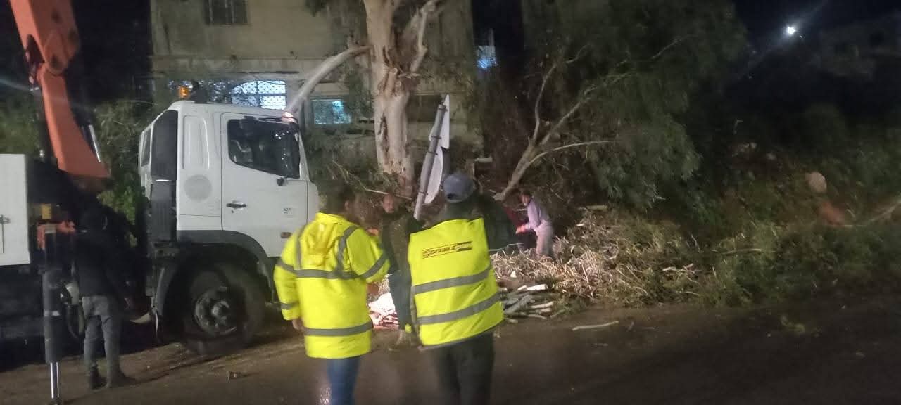 بلدية شرحبيل تزيل شجرة سقطت على طريق الأغوار الدولي