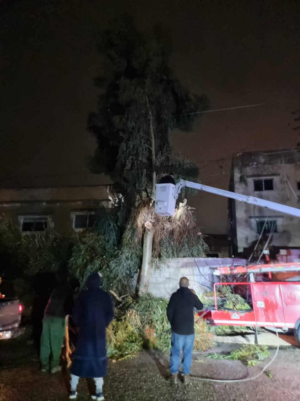 السيطرة على خطر كهربائي بسبب شجرة بالسخنة