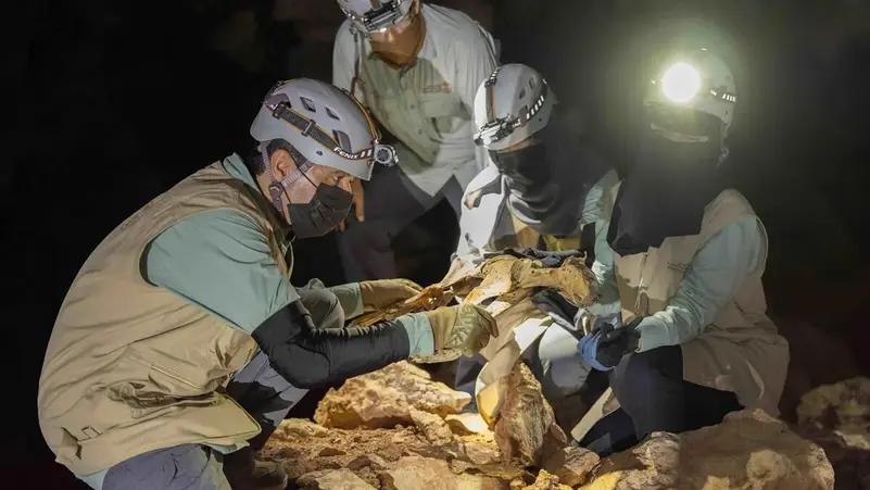 اكتشاف فهود محنطة طبيعيًا داخل كهوف سعودية