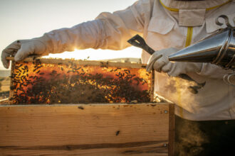 فتح باب التسجيل لمؤتمر اقتصاد النحل الأردني
