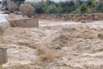 الأمطار تتجاوز 60% من المعدل السنوي والمياه تُملأ سدود الأردن