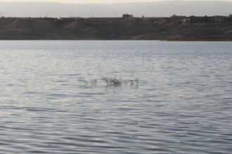 اقتراب فيضان سد زرقاء ماعين ودعوة للالتزام بالتعليمات