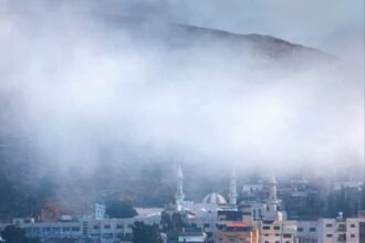 تعرفوا على تاريخ الطفيلة