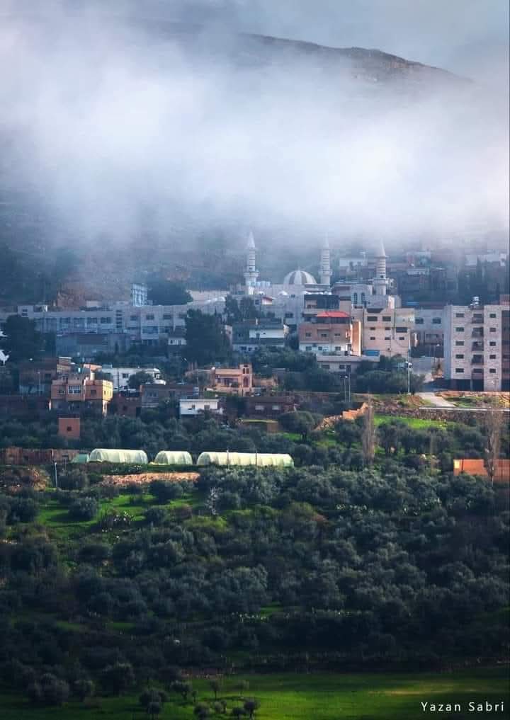 تعرفوا على تاريخ الطفيلة