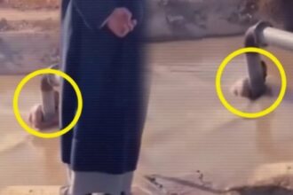 غرق طفلين في مشروع ري بمحافظة صلاح الدين