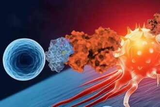 باحثون يبتكرون نموذجًا ذكياً لتتبع استجابة الأورام للمناعة