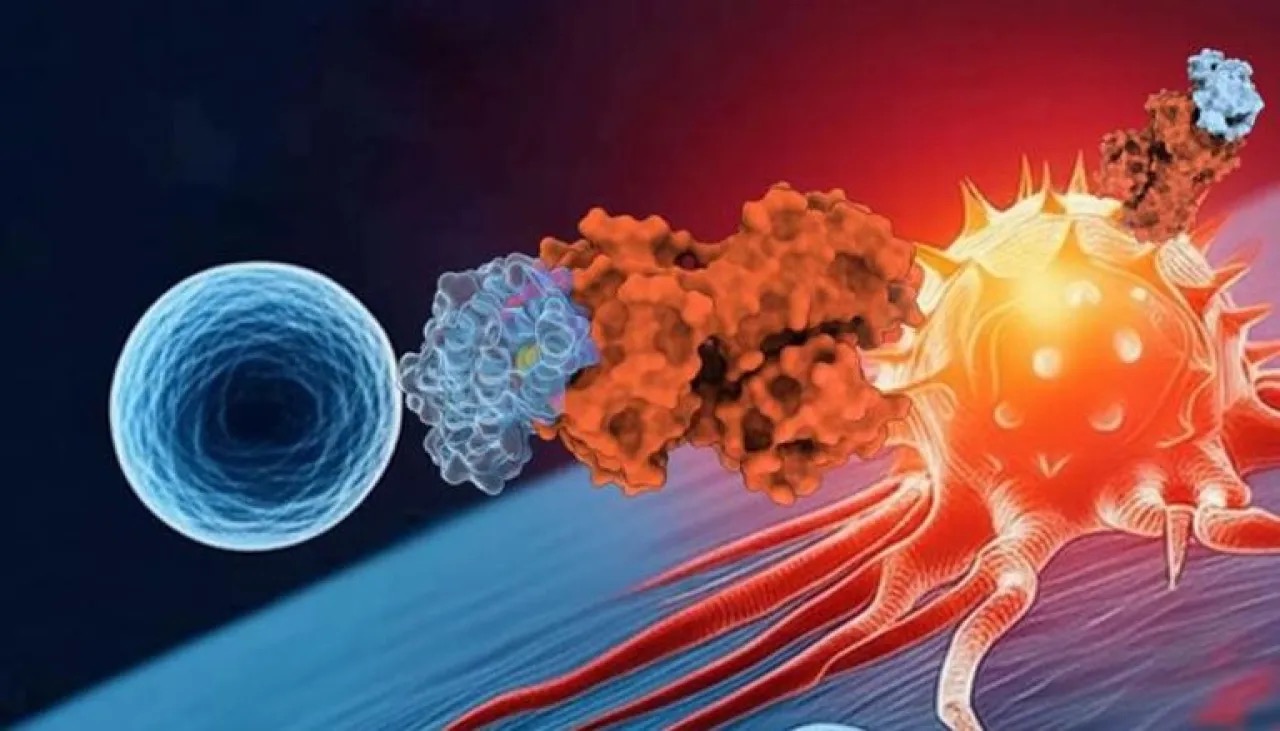باحثون يبتكرون نموذجًا ذكياً لتتبع استجابة الأورام للمناعة