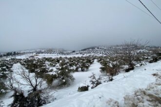 عاجل | الأرصاد تحذر: منخفض قطبي يضرب المملكة مع أمطار غزيرة ورياح قوية