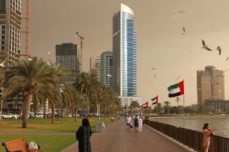 انقطاع الكهرباء في الشارقة بسبب خلل فني طارئ