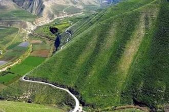 أمطار كانون الثاني: حياة جديدة للزراعة والمراعي في لواء بني كنانة