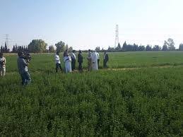 زراعة معان تنفذ حزمة مشاريع تنموية وإرشادية لتعزيز الأمن الغذائي خلال 2025