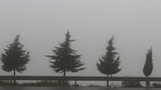 صورة حول : الأرصاد: تدنٍ شديد في مدى الرؤية بعجلون وأمطار غزيرة وتحذيرات من السيول الأرصاد: تدنٍ شديد في مدى الرؤية بعجلون وأمطار غزيرة وتحذيرات من السيول