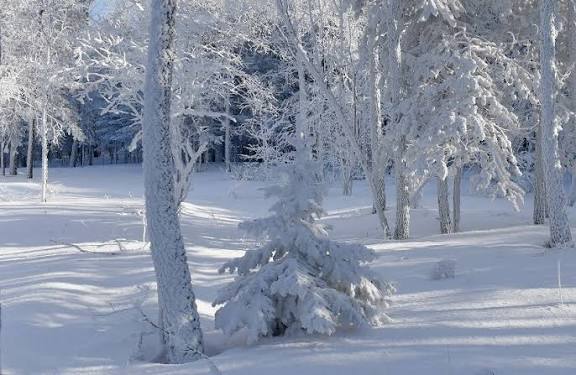 منخفض قطبي يضرب المملكة: أمطار غزيرة وسيول محتملة وثلوج على المرتفعات