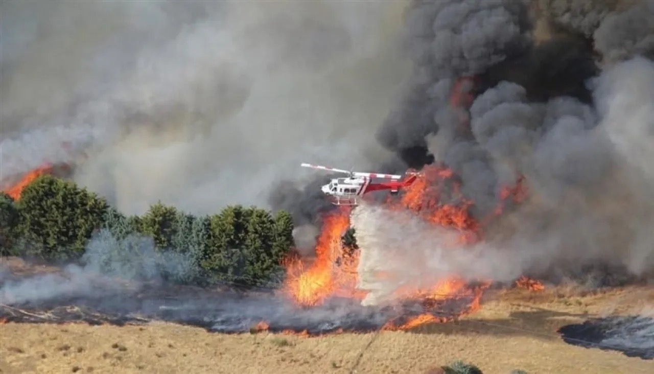 صورة حول : كارثة الغابات في فيكتوريا: آلاف رجال الإطفاء يكافحون ألسنة اللهب المدمرة كارثة الغابات في فيكتوريا: آلاف رجال الإطفاء يكافحون ألسنة اللهب المدمرة