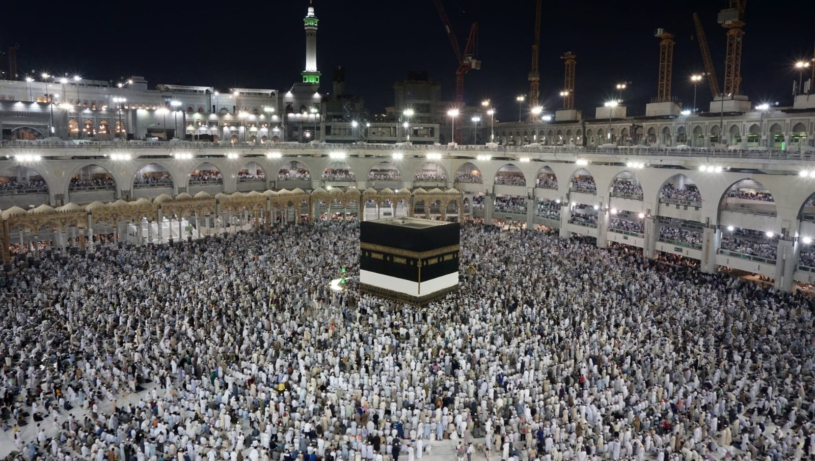 وزير الأوقاف يرفع بعثة حج المعلمين إلى 120 حاجًا لدعم الكوادر التعليمية