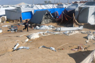 الأونروا تحذر: الأطفال في غزة يعيشون ظروفًا مأساوية بسبب قيود الاحتلال على المساعدات