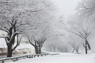 رغم وفرة الأمطار.. لماذا غابت الثلوج عن معظم مرتفعات الأردن ؟