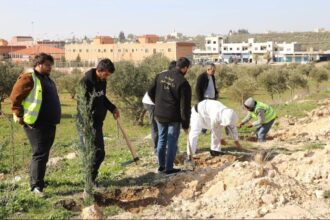وزارة الشباب تطلق حملة تشجير تطوعية في عمّان ضمن برنامج “التطوع الأخضر”