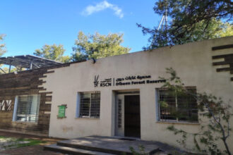 الملكية لحماية الطبيعة تطلق مشغل شموع في محمية غابات دبين لتعزيز التنمية المستدامة