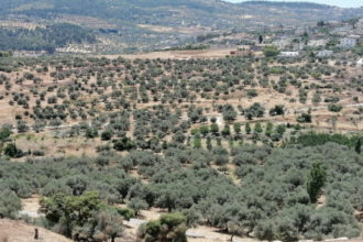 محافظ جرش يوجه برفع الجاهزية القصوى لمواجهة المنخفض الجوي المتوقع