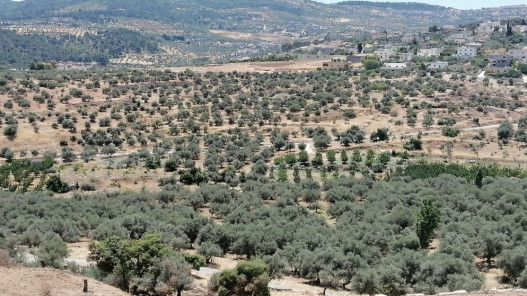 محافظ جرش يوجه برفع الجاهزية القصوى لمواجهة المنخفض الجوي المتوقع