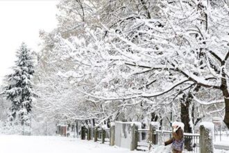 الأرصاد تنفي تراكم الثلوج المؤثر في عمّان اليوم
