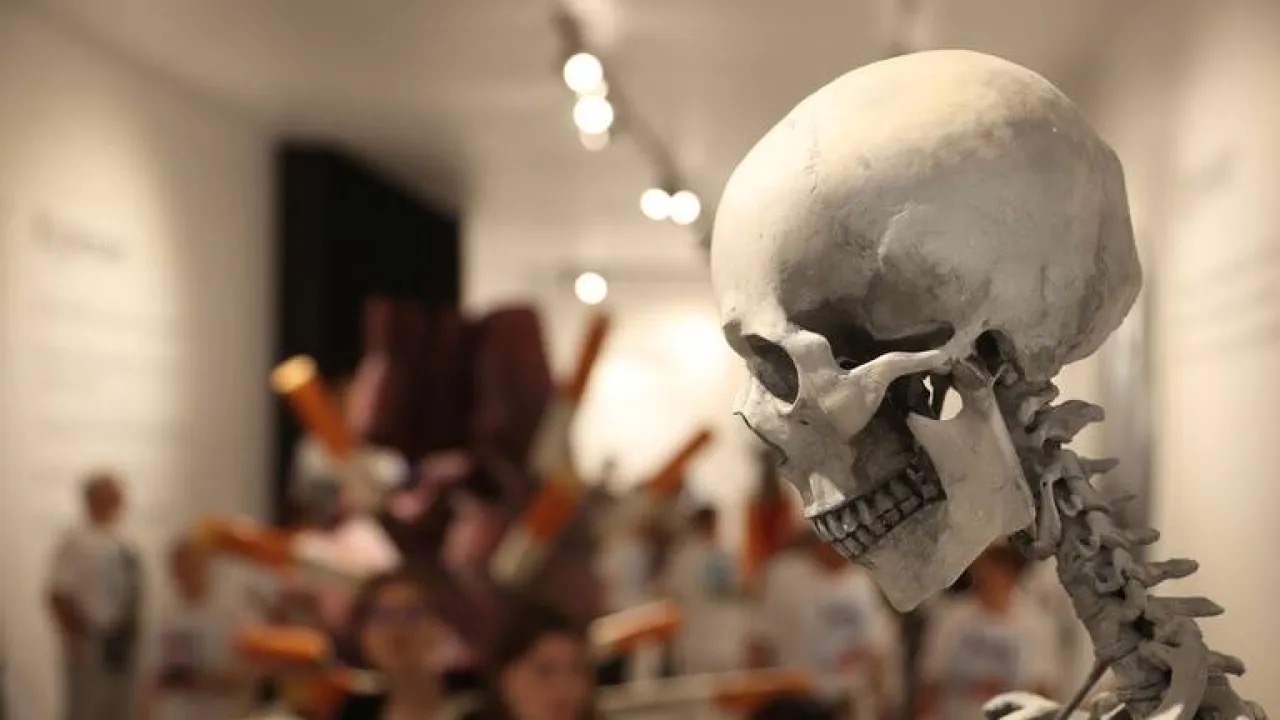 صدمة في بنسلفانيا: العثور على أكثر من 100 جمجمة بشرية وعظام في منزل شاب