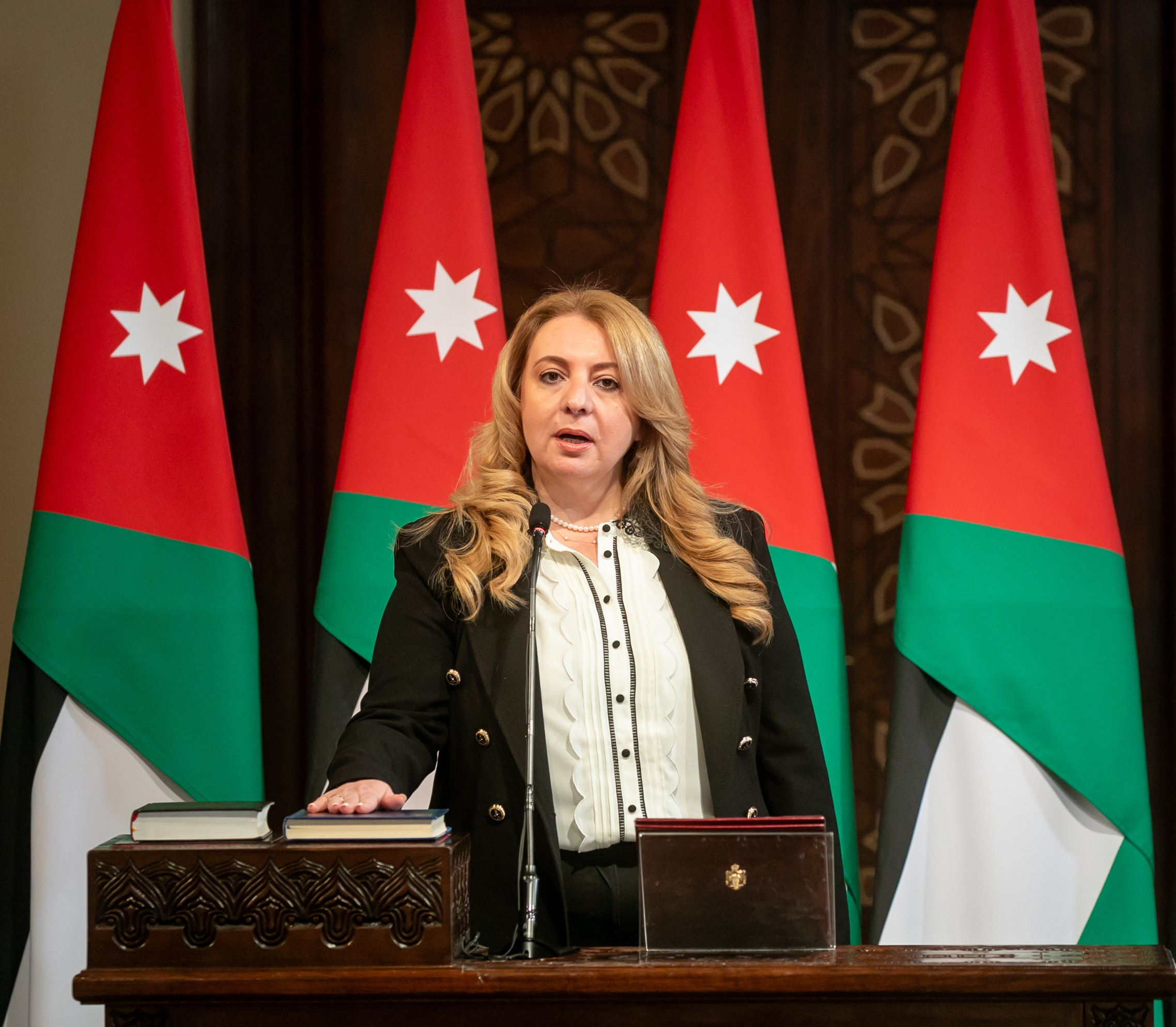 نمروقة: الأردن يدعم سيادة الصومال ويُرفض اعتراف إسرائيل بأرض الصومال