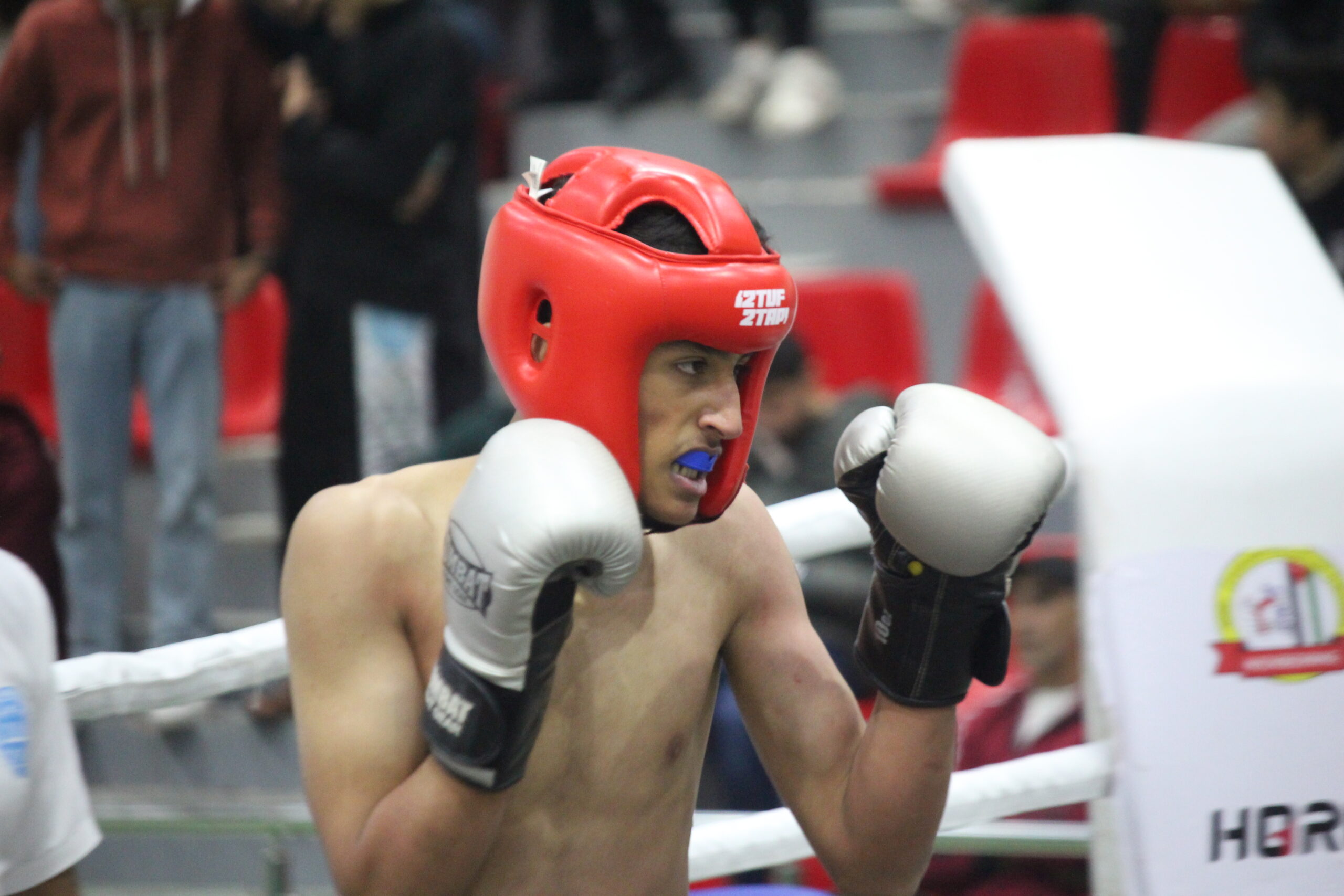 بطولة الكيك بوكسنج للشباب تسجل مشاركة واسعة "صور وفيديو"