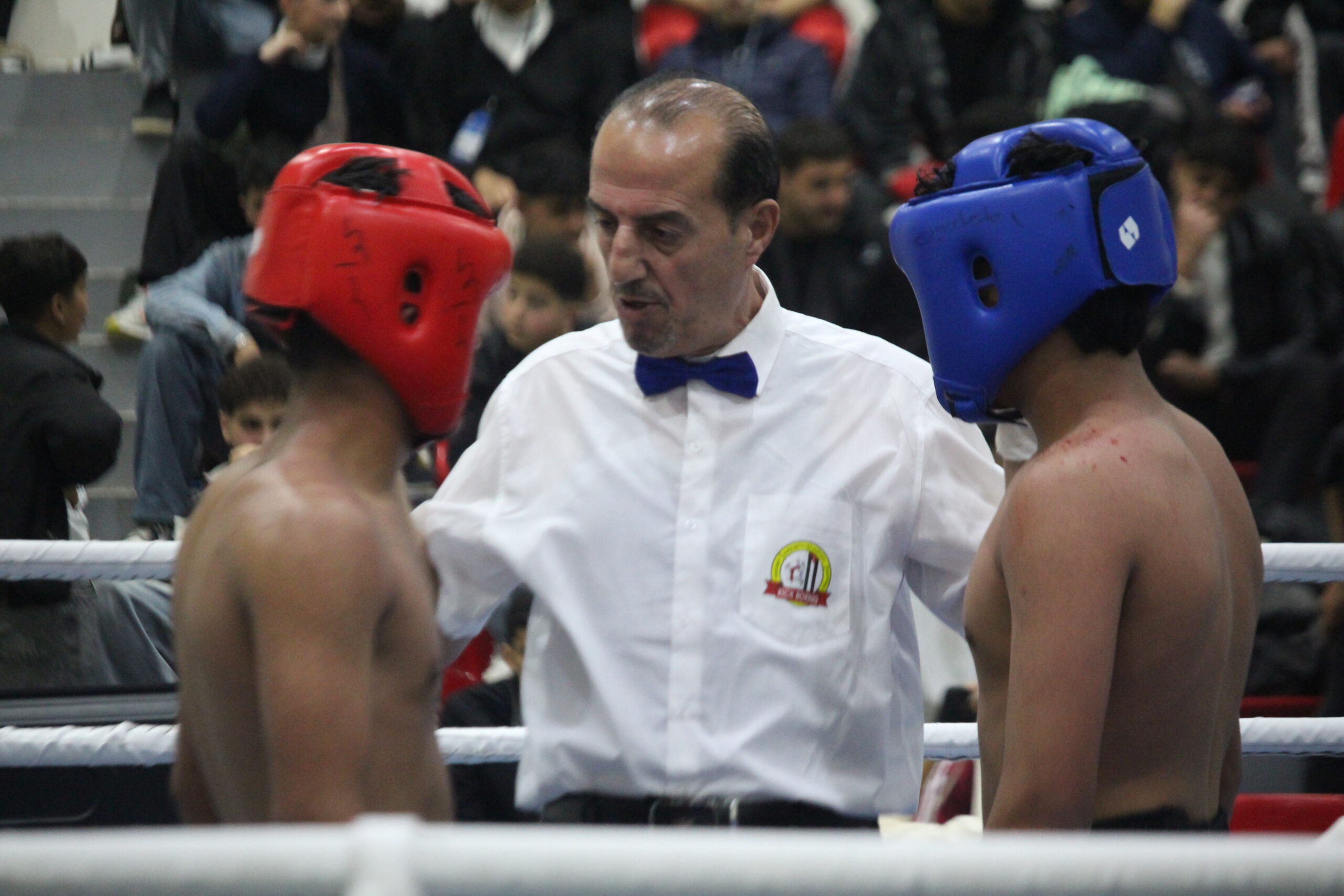 بطولة الكيك بوكسنج للشباب تسجل مشاركة واسعة "صور وفيديو"