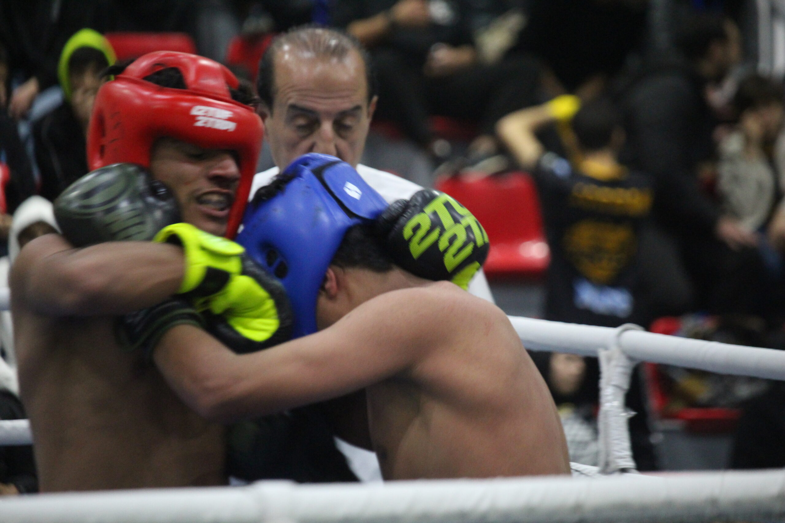 بطولة الكيك بوكسنج للشباب تسجل مشاركة واسعة "صور وفيديو"