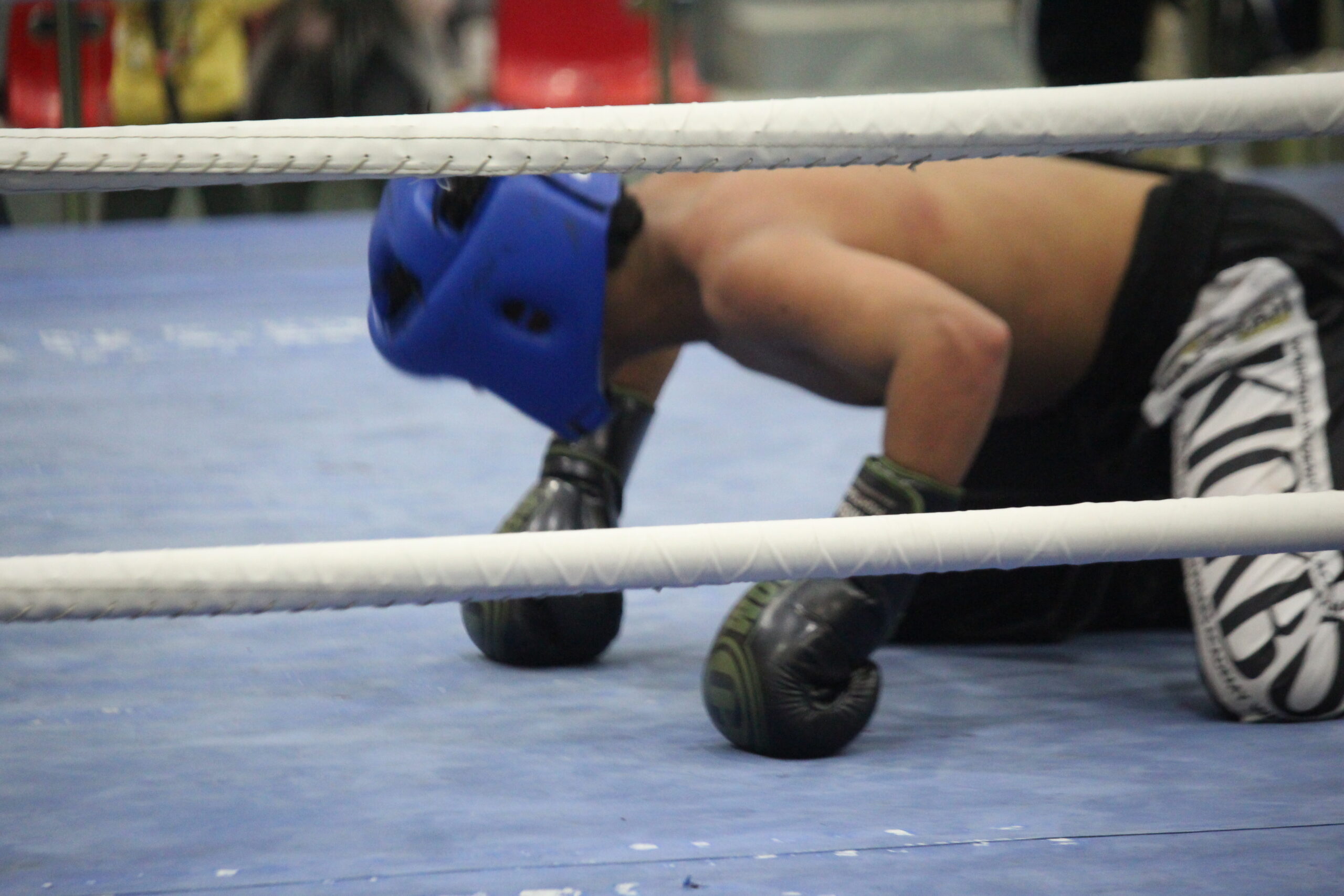 بطولة الكيك بوكسنج للشباب تسجل مشاركة واسعة "صور وفيديو"