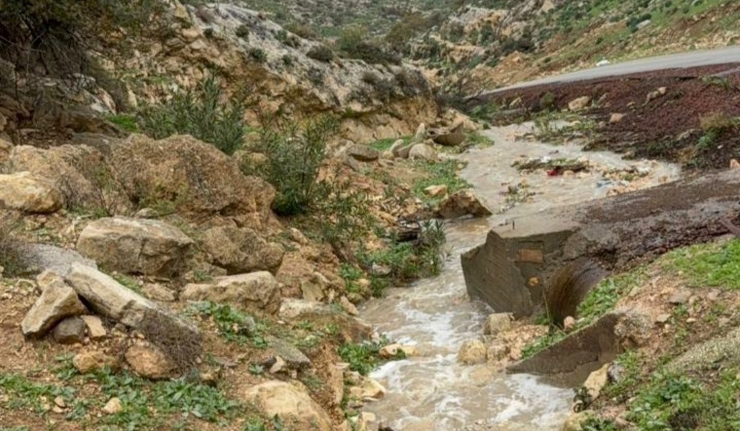 صورة حول : إربد تسجل هطولات مطرية قياسية تعزز الإنتاج الزراعي وتغذية المياه الجوفية إربد تسجل هطولات مطرية قياسية تعزز الإنتاج الزراعي وتغذية المياه الجوفية