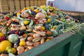 الأردن أمام تحدّي هدر الغذاء: الأسر أكبر مصدر و81 كيلوغرامًا للفرد سنويًا