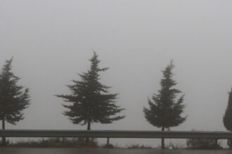 الأرصاد تحذر: طقس بارد مع ضباب وصقيع وأمطار متفرقة خلال الأيام القادمة