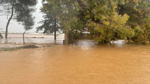 صورة حول : مأدبا الكبرى تستعد لمواجهة الأمطار الغزيرة بـ13 بؤرة ساخنة وخطة بـ3 ملايين دينار مأدبا الكبرى تستعد لمواجهة الأمطار الغزيرة بـ13 بؤرة ساخنة وخطة بـ3 ملايين دينار
