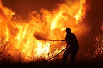 18 قتيلاً وجنوح 50 ألف شخص بسبب حرائق الغابات المدمرة في وسط وجنوب تشيلي