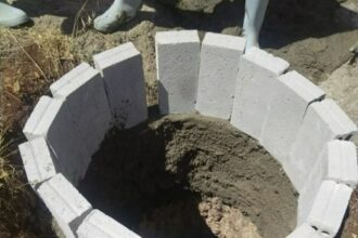 زراعة إربد: الأمطار الغزيرة تبشر بموسم زراعي وفير