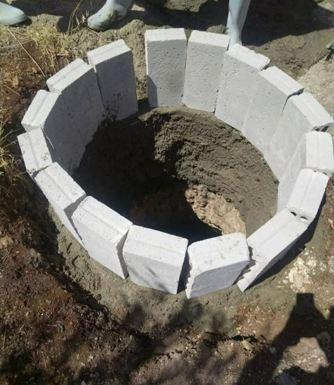 زراعة إربد: الأمطار الغزيرة تبشر بموسم زراعي وفير