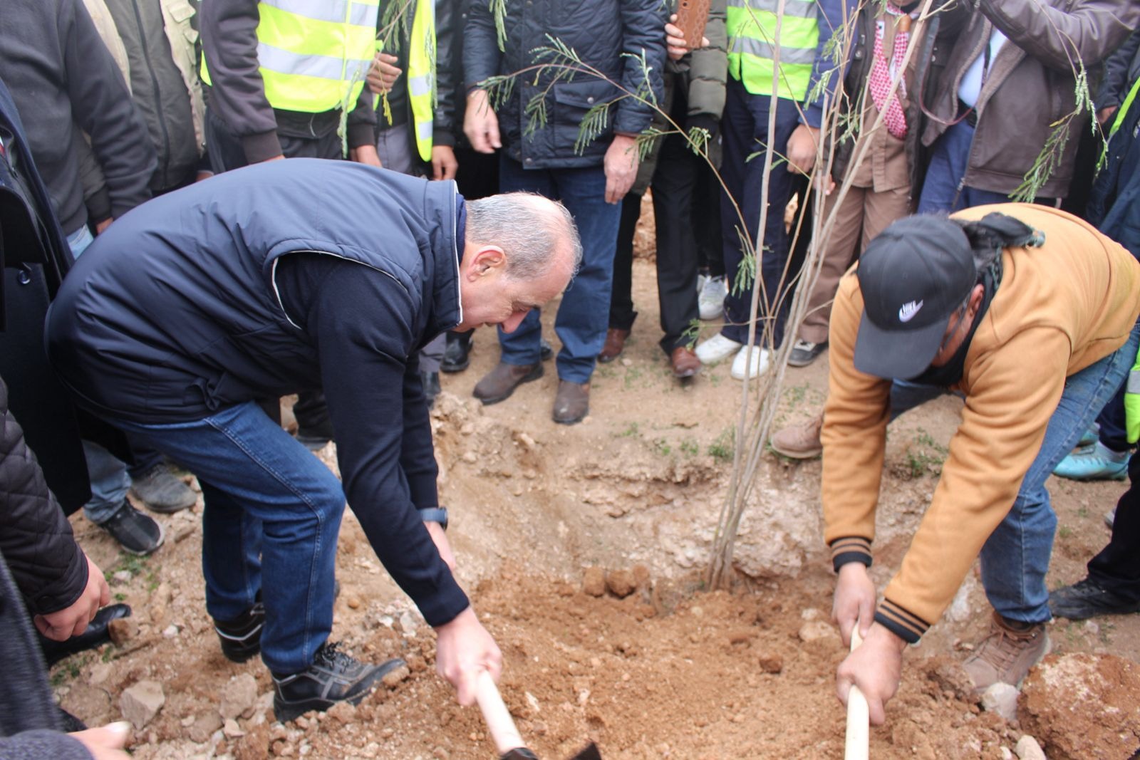 الرصيفة تحتضن 6 آلاف شجرة في المرحلة الأولى لإحياء متنزهها الوطني