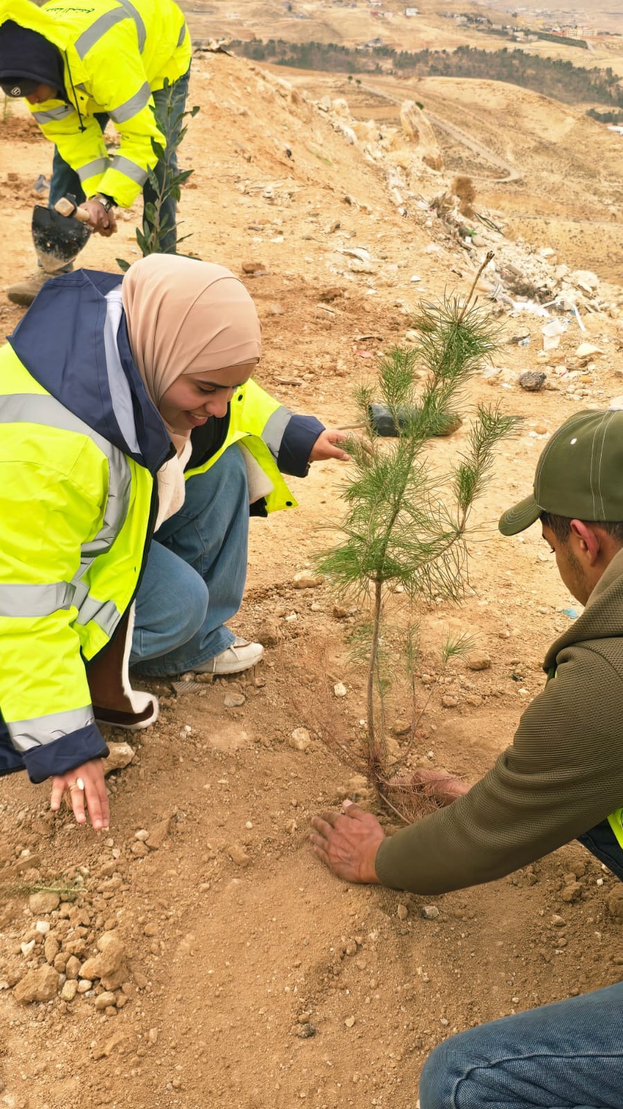 صورة حول : الطفيلة: بلديات المحافظة تطلق حملات تشجير لزراعة 3 آلاف شجرة في الميادين والمداخل الطفيلة: بلديات المحافظة تطلق حملات تشجير لزراعة 3 آلاف شجرة في الميادين والمداخل