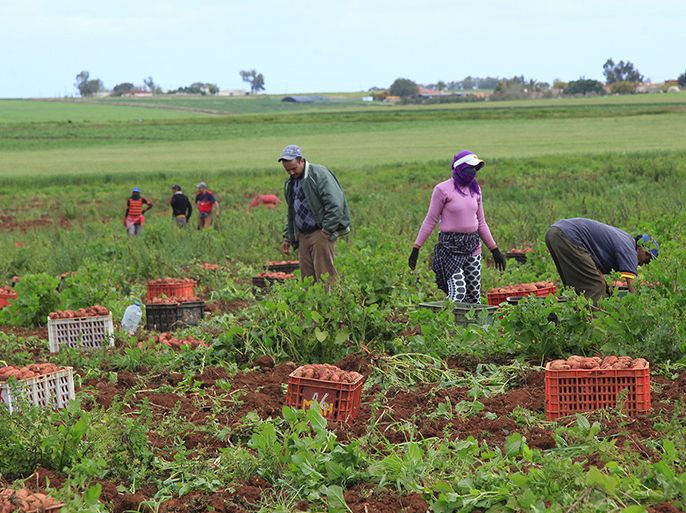 الخدام يطالب بجلسة حكومية في وادي الأردن ويشيد بتمديد دعم الصادرات الزراعية