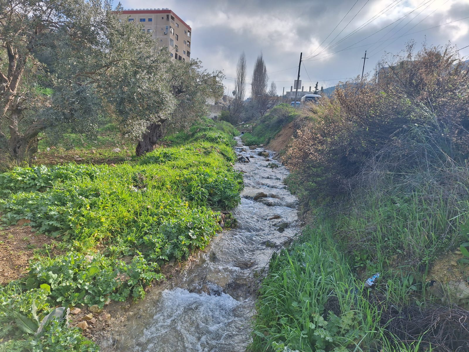 عجلون تزدهر بالزوار: الطبيعة الخضراء والأجواء الدافئة تجذب السياح قبل رمضان