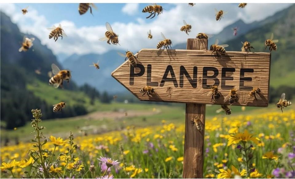 جمعية “إيد بإيد” تعقد مؤتمرًا لتعزيز اقتصاد النحل المستدام في الأردن وإطلاق مشروع PLANBEE