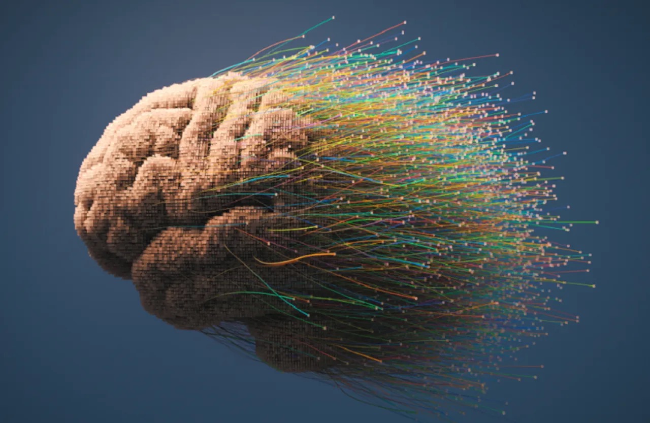 صورة حول : السمنة وارتفاع ضغط الدم يزيدان خطر الإصابة بالخرف في الشيخوخة السمنة وارتفاع ضغط الدم يزيدان خطر الإصابة بالخرف في الشيخوخة