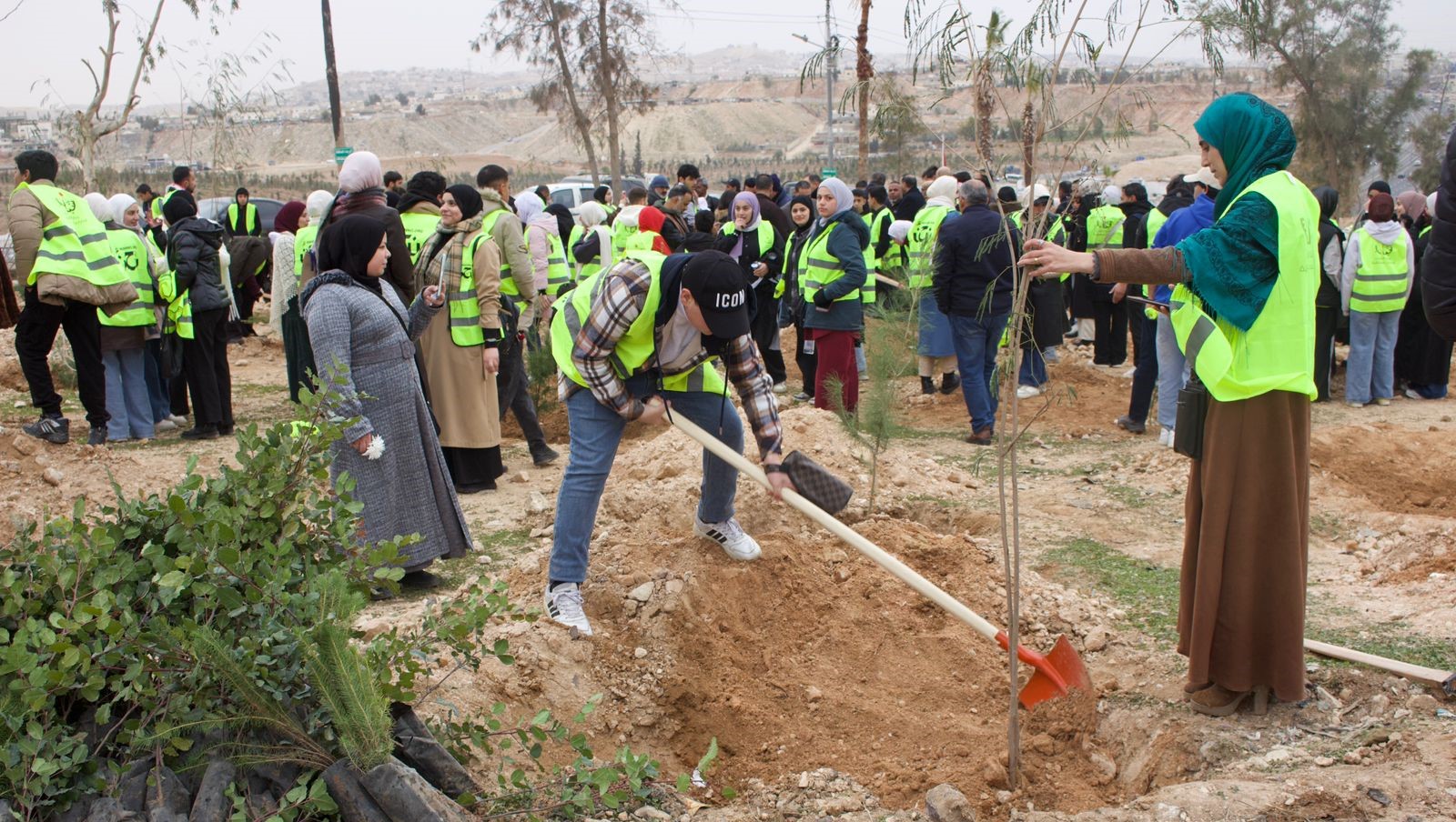 زراعة 70 ألف شجرة في 100 بلدية ضمن الحملة الوطنية للتشجير