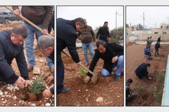 بلديات الزرقاء تنفذ فعاليات تشجير واسعة ضمن الحملة الوطنية لزيادة الرقعة الخضراء