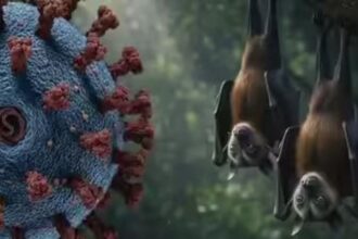 خبير يحذر من استمرار خطر فيروس “نيباه” رغم استبعاد جائحة عالمية